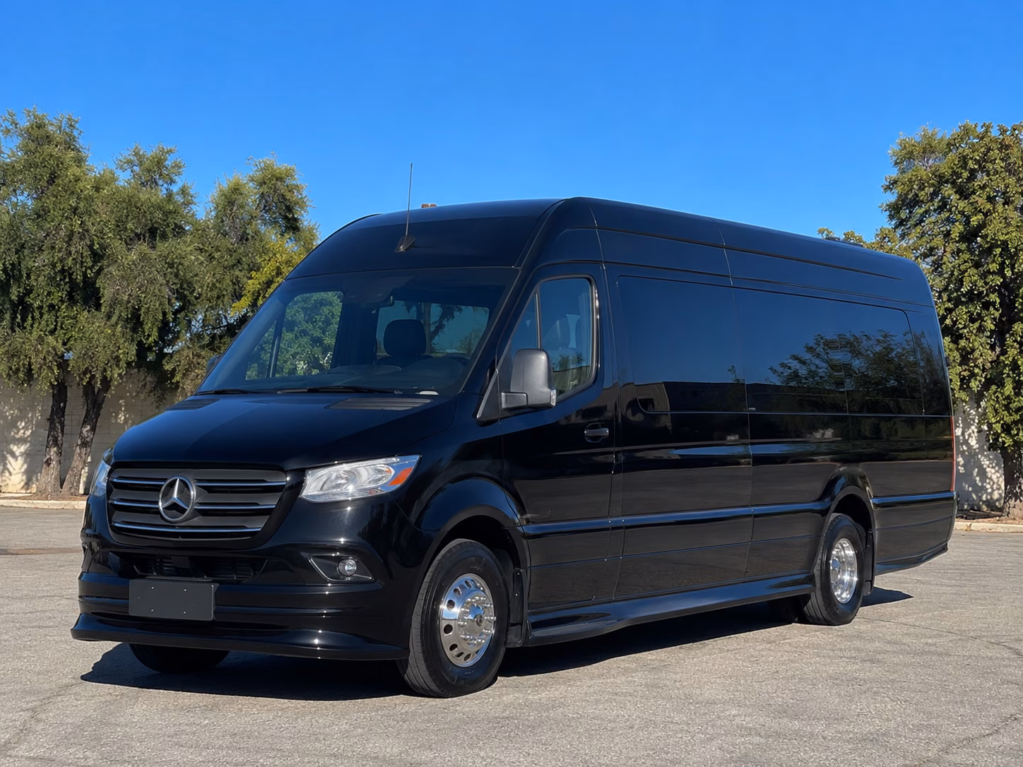 palmdale sprinter van with driver